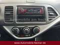 Kia Picanto 1.0 Vision-Klima-PDC-8fach bereift-HU NEU Blau - thumbnail 19