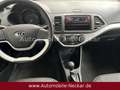 Kia Picanto 1.0 Vision-Klima-PDC-8fach bereift-HU NEU Blau - thumbnail 14