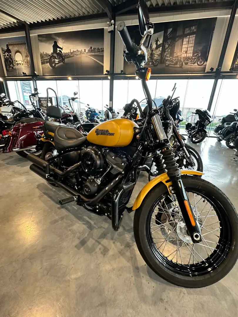 Harley-Davidson Street Bob Jaune - 2