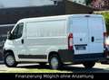 Fiat Ducato Kasten 30 115 AHK*TÜV-2027 Blanco - thumbnail 8