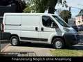 Fiat Ducato Kasten 30 115 AHK*TÜV-2027 Blanco - thumbnail 4