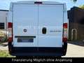 Fiat Ducato Kasten 30 115 AHK*TÜV-2027 Blanco - thumbnail 6