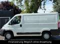 Fiat Ducato Kasten 30 115 AHK*TÜV-2027 Blanco - thumbnail 5
