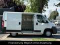 Fiat Ducato Kasten 30 115 AHK*TÜV-2027 Blanco - thumbnail 7