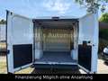 Fiat Ducato Kasten 30 115 AHK*TÜV-2027 Blanco - thumbnail 18