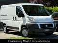 Fiat Ducato Kasten 30 115 AHK*TÜV-2027 Blanco - thumbnail 2