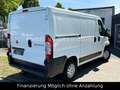 Fiat Ducato Kasten 30 115 AHK*TÜV-2027 Blanco - thumbnail 9