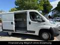 Fiat Ducato Kasten 30 115 AHK*TÜV-2027 Blanco - thumbnail 10