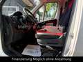 Fiat Ducato Kasten 30 115 AHK*TÜV-2027 Blanco - thumbnail 12