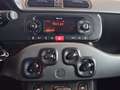 Fiat Panda 1.0 FireFly S&S Hybrid City Cross Grigio - thumbnail 10