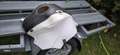 Honda VFR 1200 Bianco - thumbnail 6