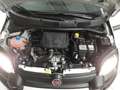 Fiat Panda Pandina 4x2 FireFly Hybrid 70 Weiß - thumbnail 19