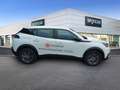 Peugeot 2008 Active Pack Blue HDI 110 AHK/ Shzg/ RKamera Weiß - thumbnail 4