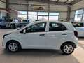 Kia Picanto Edition 7 Weiß - thumbnail 2