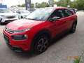 Citroen C4 Cactus Shine 1.2 PT 110 Rot - thumbnail 2