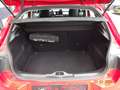 Citroen C4 Cactus Shine 1.2 PT 110 Rot - thumbnail 6