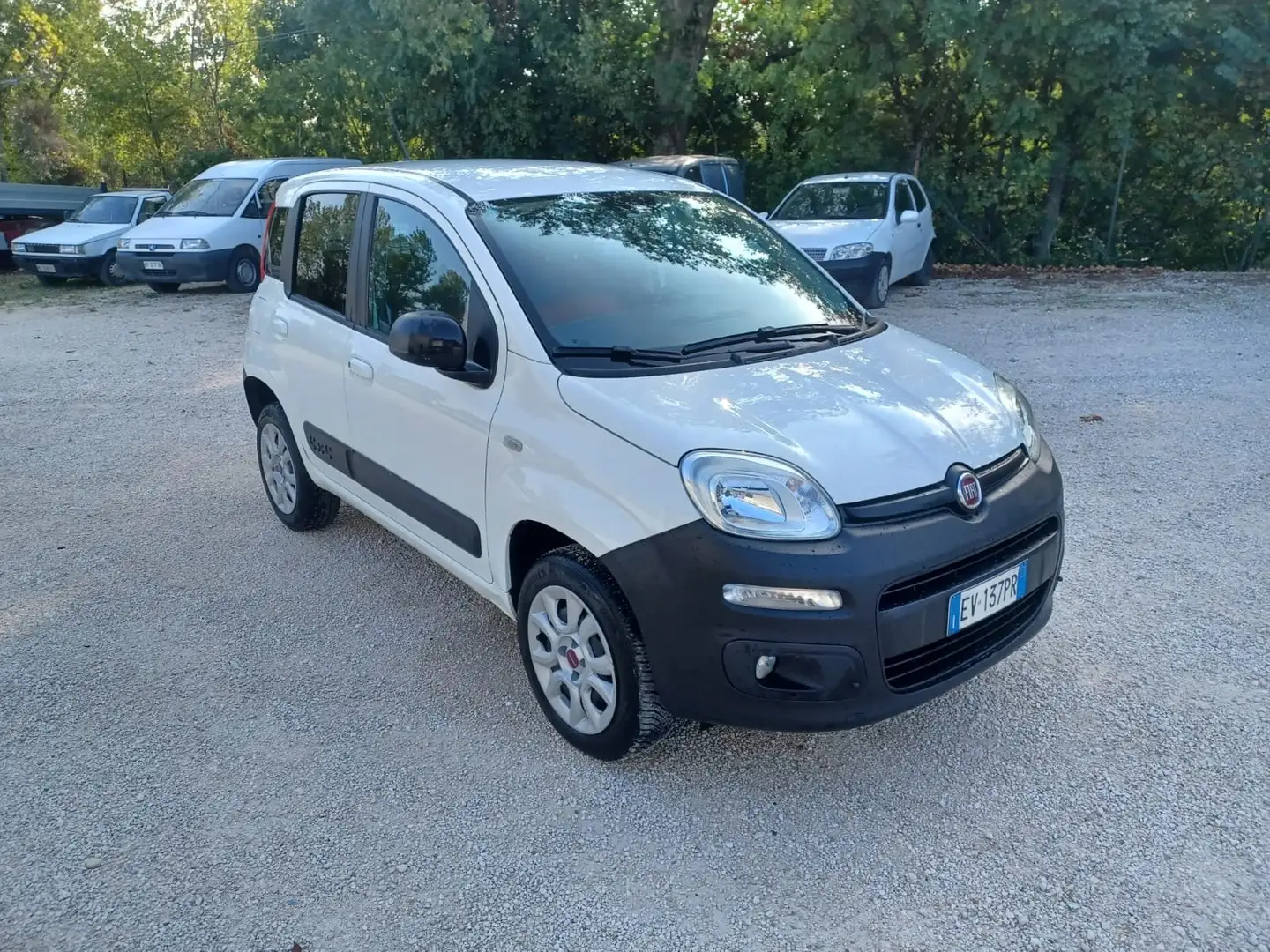 Fiat Panda 1.3 mjt 16v 4x4 75cv Bianco - 2