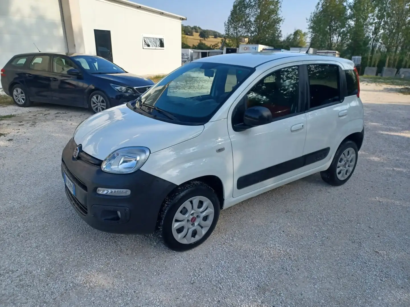 Fiat Panda 1.3 mjt 16v 4x4 75cv Bianco - 1