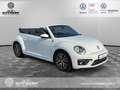 Volkswagen Beetle Beetle Cabrio Sound 1.2TSI Navi Sitzheizung APP Blanc - thumbnail 7
