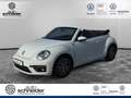 Volkswagen Beetle Beetle Cabrio Sound 1.2TSI Navi Sitzheizung APP Blanc - thumbnail 1