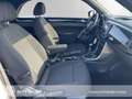 Volkswagen Beetle Beetle Cabrio Sound 1.2TSI Navi Sitzheizung APP Blanc - thumbnail 15