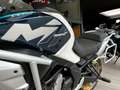 CFMOTO 700 MT Adventure // MY25, IN STOCK! Wit - thumbnail 12