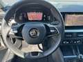 Skoda Scala TSi Clever * LED/Navi-Amundsen/virt.Cockpit/Kamera Grijs - thumbnail 15