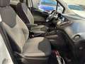 Ford Tourneo Courier 1,0 EcoBoost Trend Start/Stop Weiß - thumbnail 29