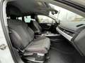 Audi A4 AVANT 2.0 TDI QUATTRO 190 CV CON GANCIO TRAINO bijela - thumbnail 9