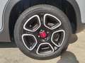 Fiat Panda Panda 1.0 firefly hybrid City Life s&s 70cv* PROMO Сірий - thumbnail 14