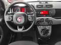 Fiat Panda Panda 1.0 firefly hybrid City Life s&s 70cv* PROMO Сірий - thumbnail 11