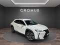 Lexus UX 250h 2.0 Luxury 2wd cvt - thumbnail 2