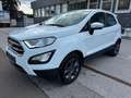 Ford EcoSport Cool & Connect Weiß - thumbnail 1