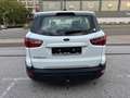 Ford EcoSport Cool & Connect Weiß - thumbnail 3