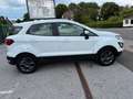 Ford EcoSport Cool & Connect Weiß - thumbnail 7