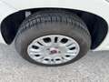 Fiat Panda Panda  1.2 Easy 69cv E6 Blanc - thumbnail 18