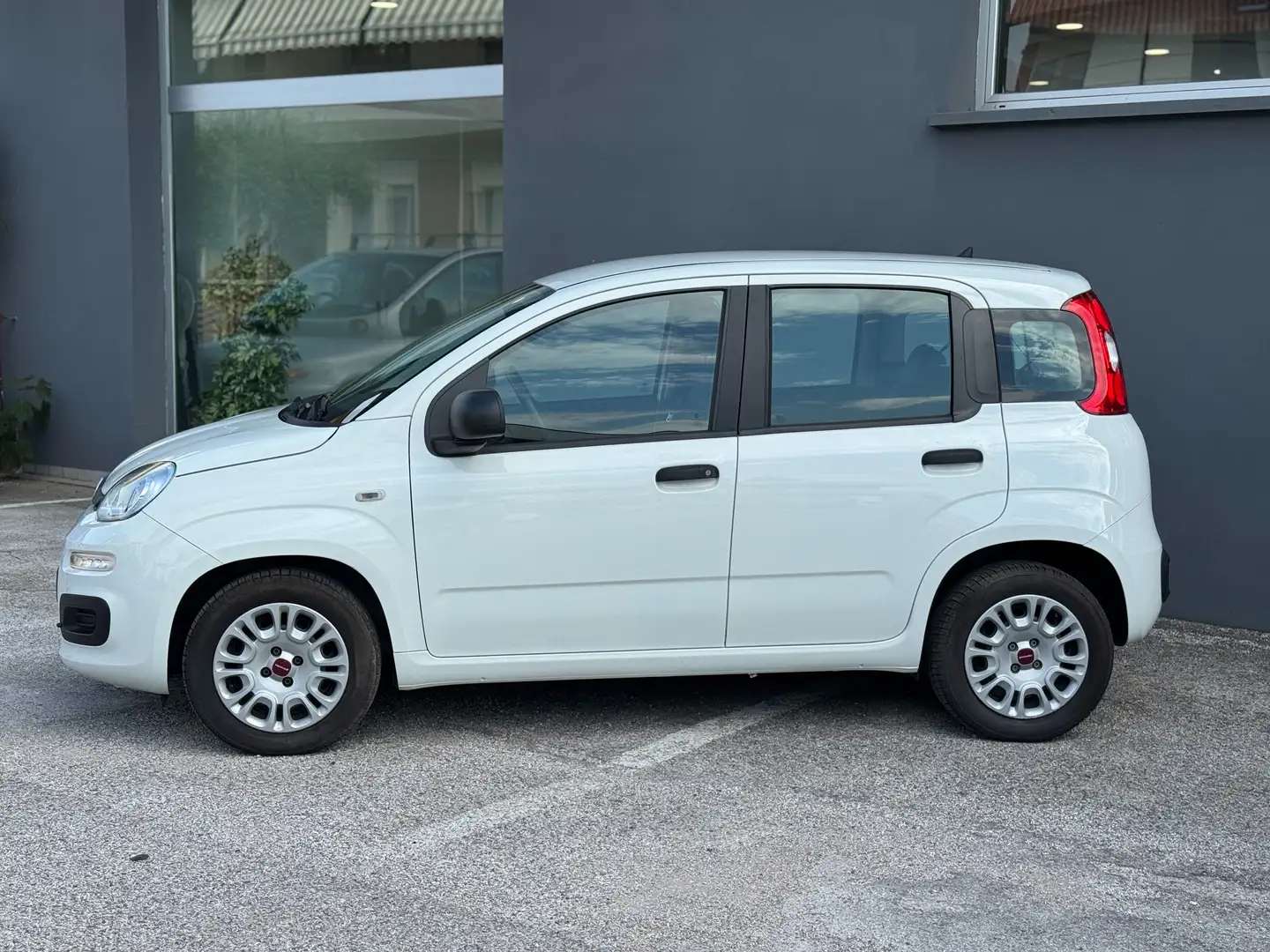 Fiat Panda Panda  1.2 Easy 69cv E6 Bianco - 2