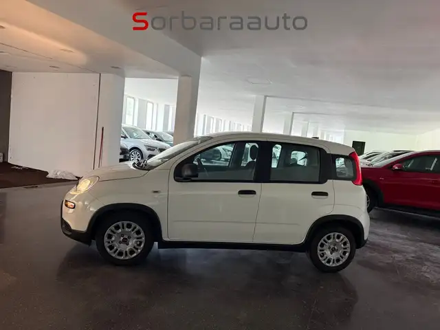 Fiat Panda view 2