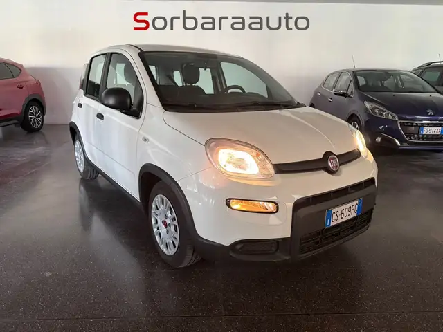 Fiat Panda view 7