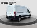 Ford Transit 2.0 TDCi 350 L3H2 Trend RWD AHK/Assistenzpaket/36 Weiß - thumbnail 5
