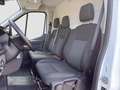 Ford Transit 2.0 TDCi 350 L3H2 Trend RWD AHK/Assistenzpaket/36 Weiß - thumbnail 12
