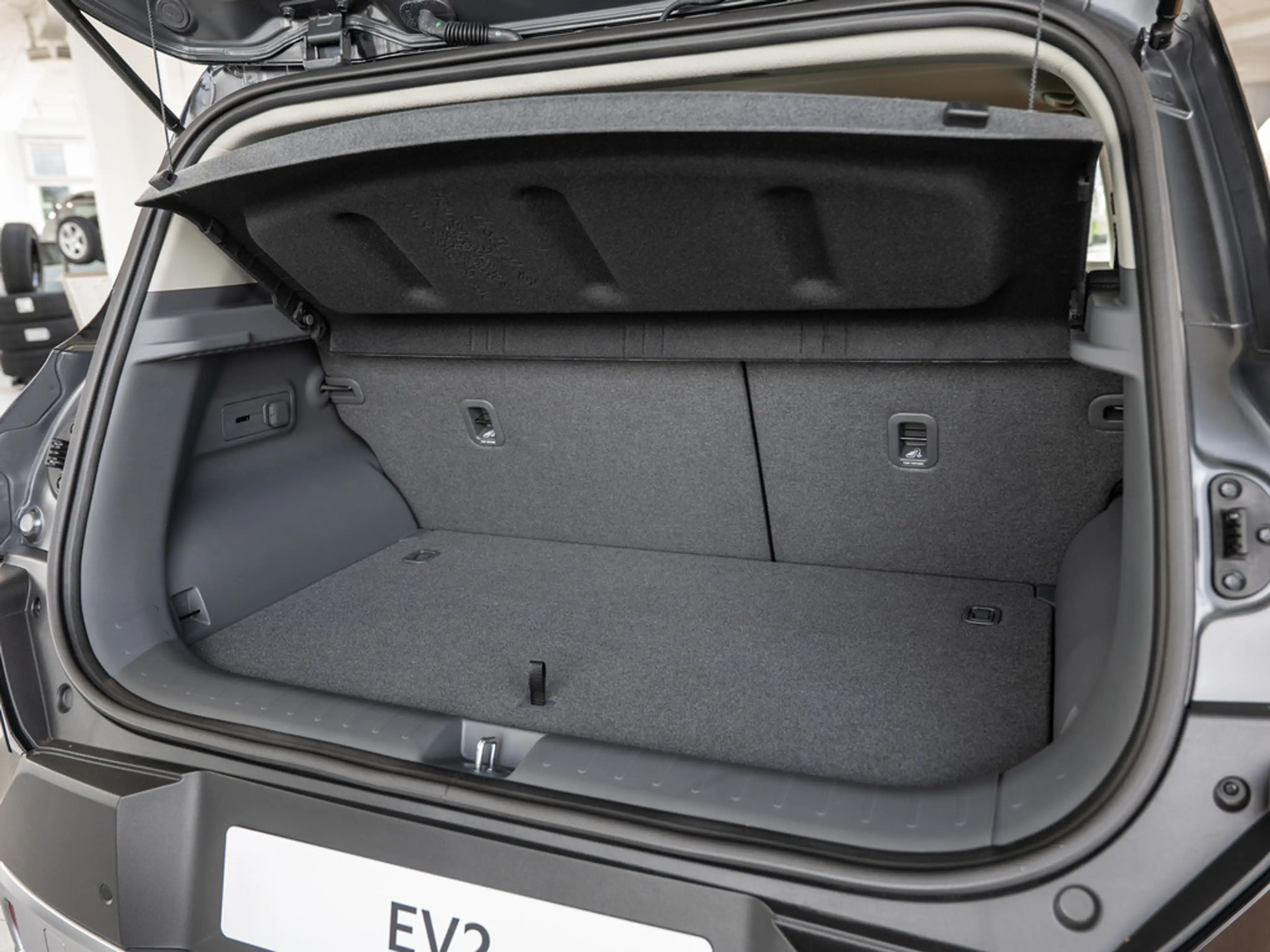 Kia EV2 Earth 360° LED ACC H/K KAMERA SHZ PDC — photo 9