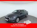 Skoda Octavia 2.0 TDI Style MATRIX+LED+RADAR+RFK+LM Grau - thumbnail 1