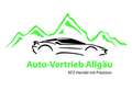 Nissan Juke Acenta, Kamera,Temp,Navi,Start&Stop Blau - thumbnail 22