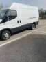 Iveco Daily 35C21V 3520 HD Wit - thumbnail 4