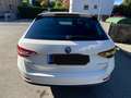 Skoda Superb Superb Kombi 2,0 TDI Ambition DSG Ambition Weiß - thumbnail 4