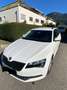 Skoda Superb Superb Kombi 2,0 TDI Ambition DSG Ambition Weiß - thumbnail 2