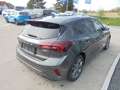 Ford Focus ST-Line 125PS Benzin Automatik Grau - thumbnail 3