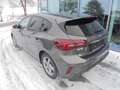 Ford Focus ST-Line 125PS Benzin Automatik Grau - thumbnail 4