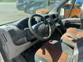 Fiat Ducato Pritsche Doppelk. 33 120 7Sitze HU03/2026 Weiß - thumbnail 10